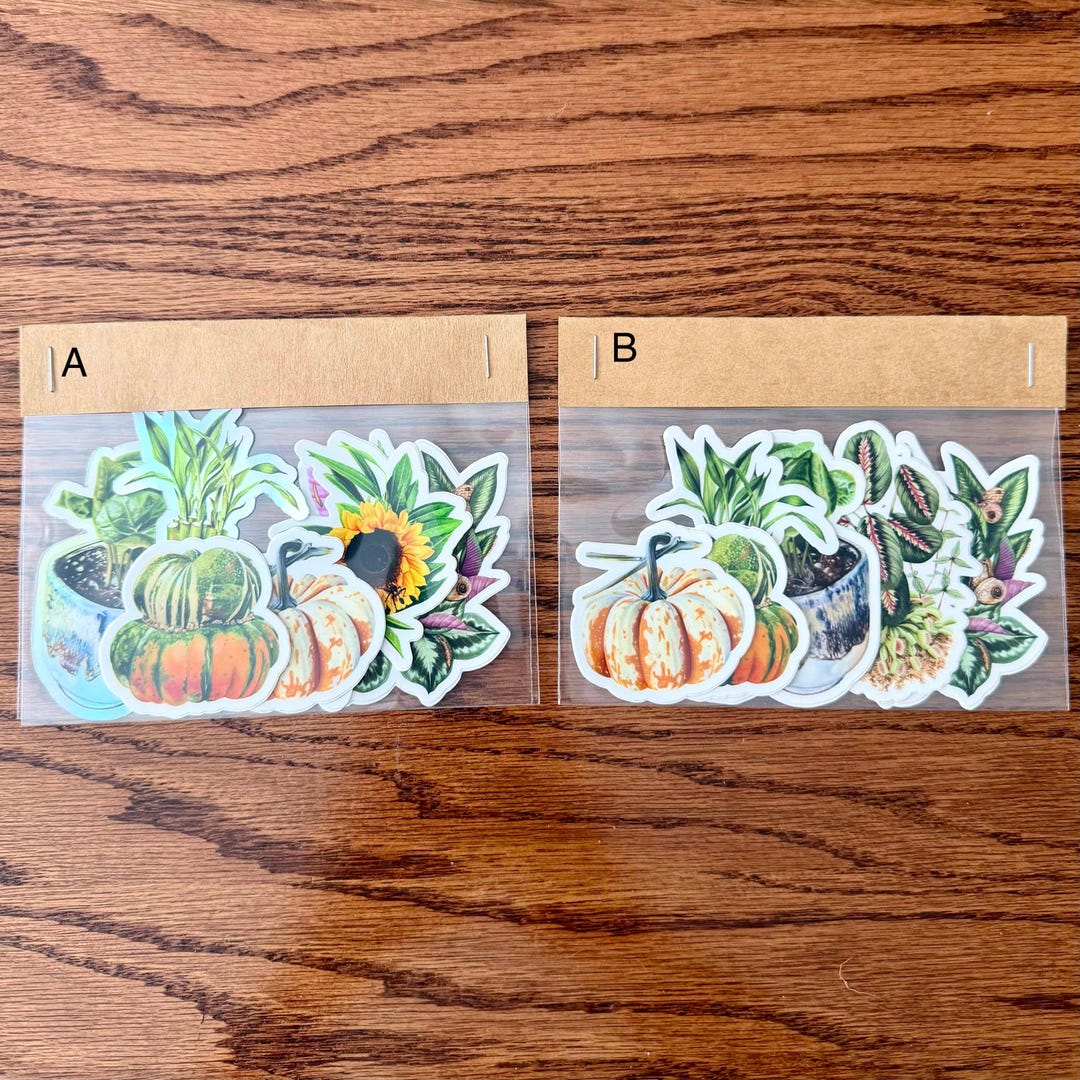 Botanical Vinyl Sticker Pack | Set of 6 Stickers | Decal - Etsy