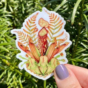 Terrarium Die Cut Vinyl Sticker