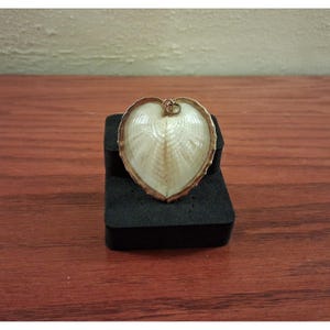 May include: A heart-shaped pendant with a natural shell design. The pendant has a gold-colored trim and a small loop at the top for a chain. The shell has a cream color with natural patterns.