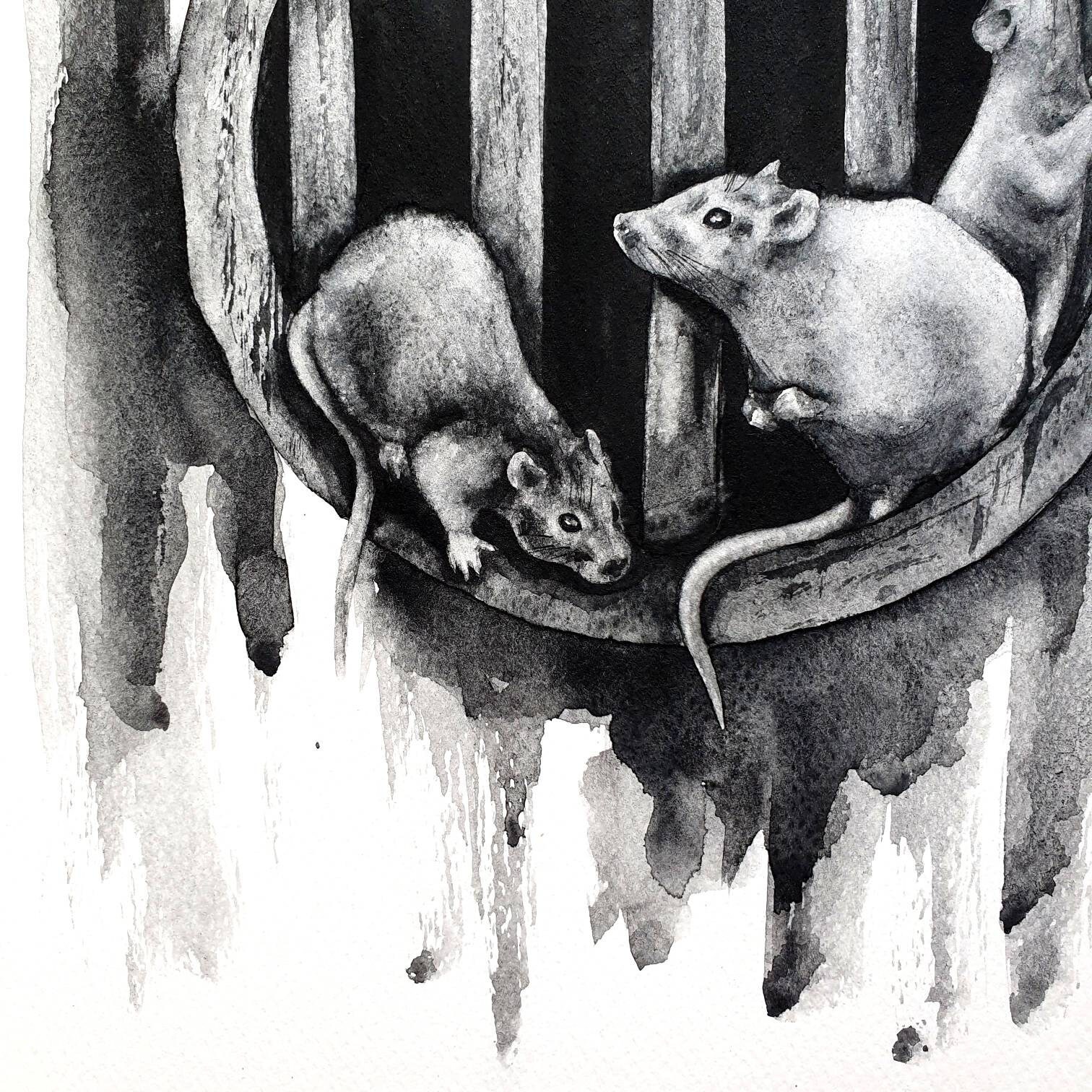 Rat Painting Charcoal Original Art Rodent Drawing Animal Etsy