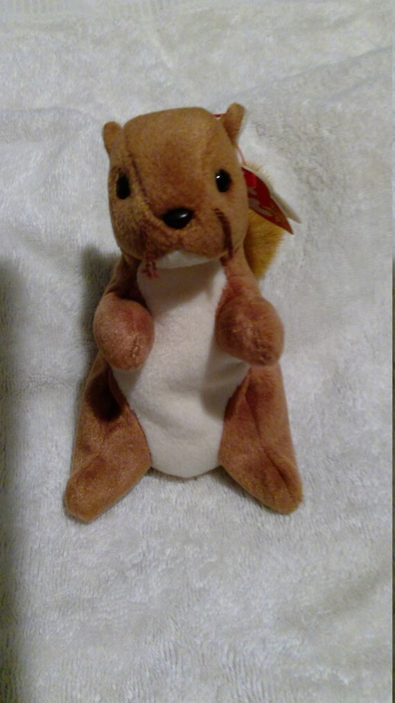 nuts beanie baby