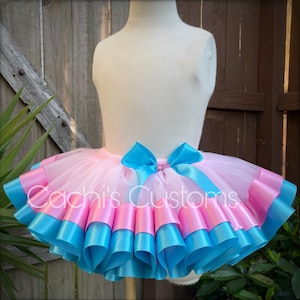 Tutu - Pink and Blue Tutu