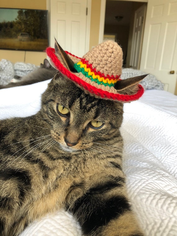 Sombrero cat in the hat Clearance