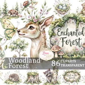 Set di 86 clipart digitali di Woodland Forest - Animali, PNG della foresta, sfondo trasparente, illustrazione, scrapbooking, acquerello di foresta magica