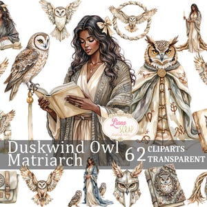 Duskwind hibou matriarche 62 Clipart ensemble, hiboux aquarelle, PNG transparent numérique pour agendas et travaux manuels, médiéval-fantastique, conte de fées magique