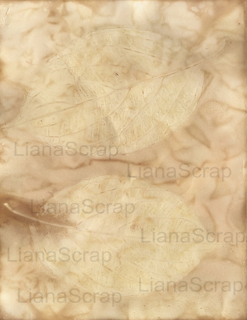 May include: A close-up of a textured, beige paper background with two leaf imprints. The paper has a faded, vintage look.
