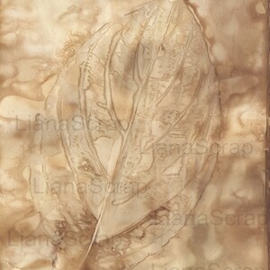 May include: A close-up of a leaf imprint on a beige background. The leaf is a light brown color and has a detailed vein pattern. The background has a subtle texture and a faded appearance.