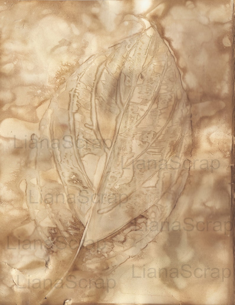 May include: A close-up of a leaf imprint on a beige background. The leaf is a light brown color and has a detailed vein pattern. The background has a subtle texture and a faded appearance.