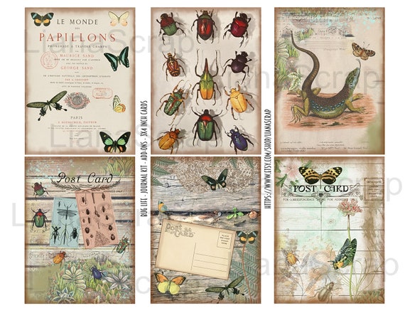 Pet Retro Butterfly Insect Sticker Pack Diy Journal Book - Temu