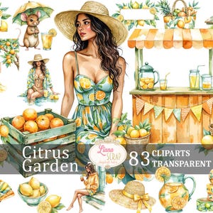 Jardin d'agrumes 83 clipart numérique, été PNG, aquarelle de fruits, graphique floral, illustration de la plage, fond transparent, autocollant d'agenda