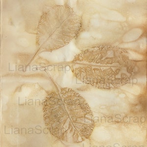 May include: Three brown leaf prints on a beige background. The leaves are pressed into the paper, creating a textured effect.