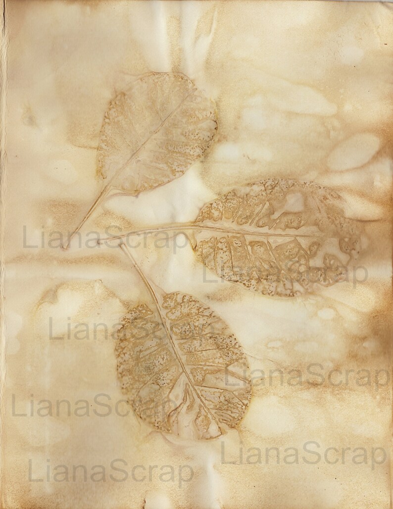 May include: Three brown leaf prints on a beige background. The leaves are pressed into the paper, creating a textured effect.