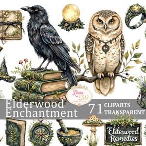 Elderwood Enchantment 71 Clipart Set - Witchcore Botanical PNG - Digital Art Supplies - Transparante achtergrond - Planner Stickers -