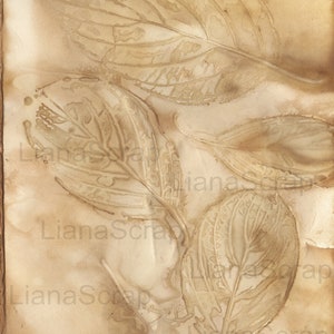 May include: A close-up of a vintage, textured, cream-colored paper background with leaf imprints. The leaves are a light brown color and appear to be pressed into the paper. The paper has a slightly wrinkled texture.