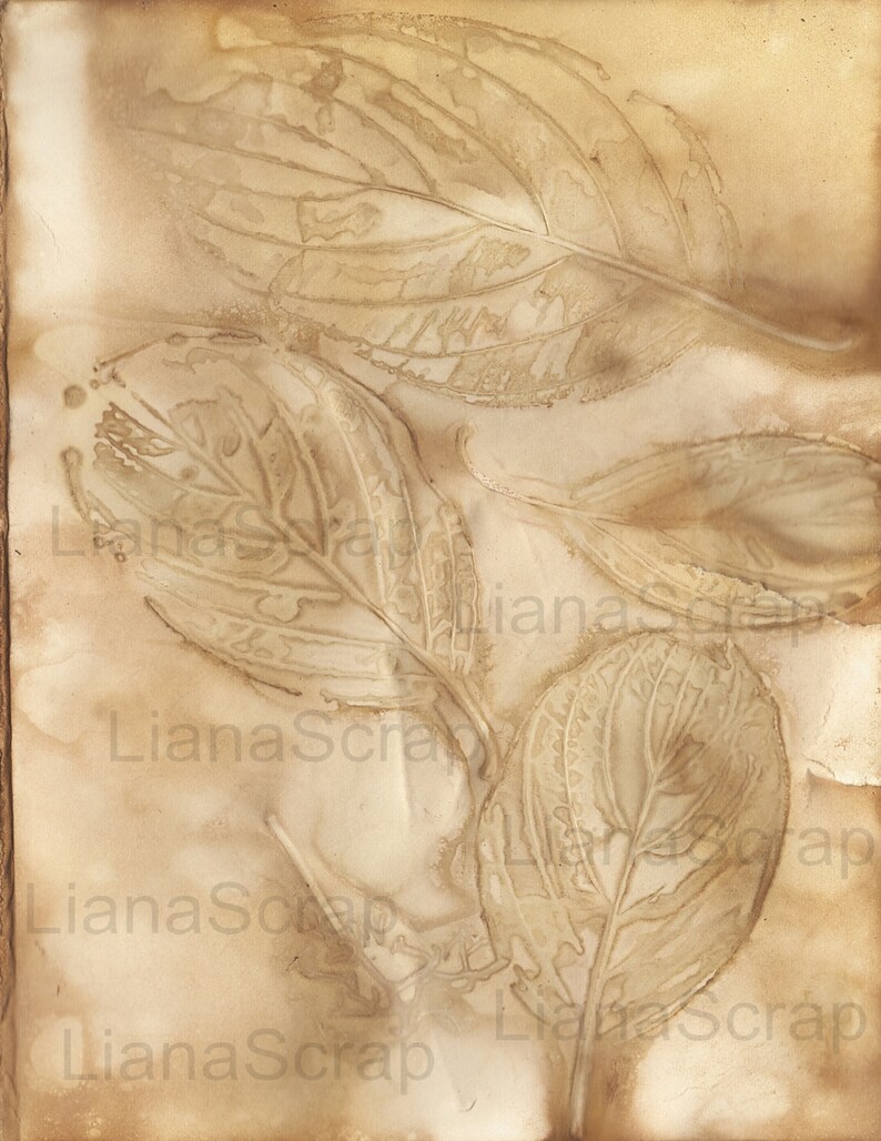May include: A close-up of a vintage, textured, cream-colored paper background with leaf imprints. The leaves are a light brown color and appear to be pressed into the paper. The paper has a slightly wrinkled texture.