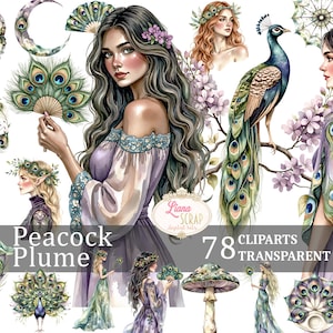 Plume de paon 78 Images Clipart aquarelle art numérique floral PNG plumes de paon portraits vintage fond Transparent agenda numérique