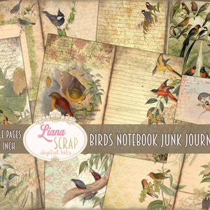 Birds Notebook Nature Junk Journal Kit, Digital Nature Printables, Junk Journal Paper