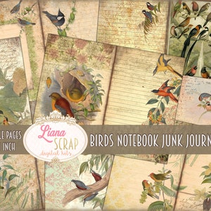 Kit de diário de lixo da natureza para caderno de pássaros, imprimíveis digitais da natureza, papel de diário de lixo