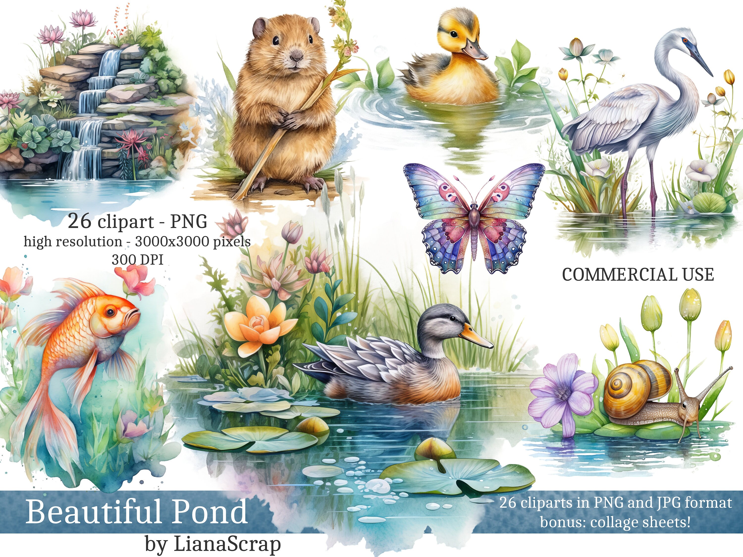 Beautiful Pond Clipart PNG Set 26 Pond Clipart Commercial picture picture