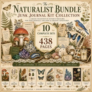 Könnte beinhalten: Das Naturalist Bundle Junk Journal Kit Collection umfasst 10 komplette Sets mit 438 Seiten im US-Letter-Querformat 27,9 x 21,6 cm. Es enthält Illustrationen von Pilzen, Kristallen, Schmetterlingen, Vögeln, Muscheln und Insekten.