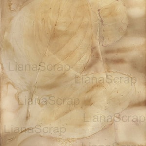 May include: A vintage-style background with a faded brown and beige color scheme. The background features a leaf imprint with a textured surface. The text "Liana Scrap" is repeated throughout the image.