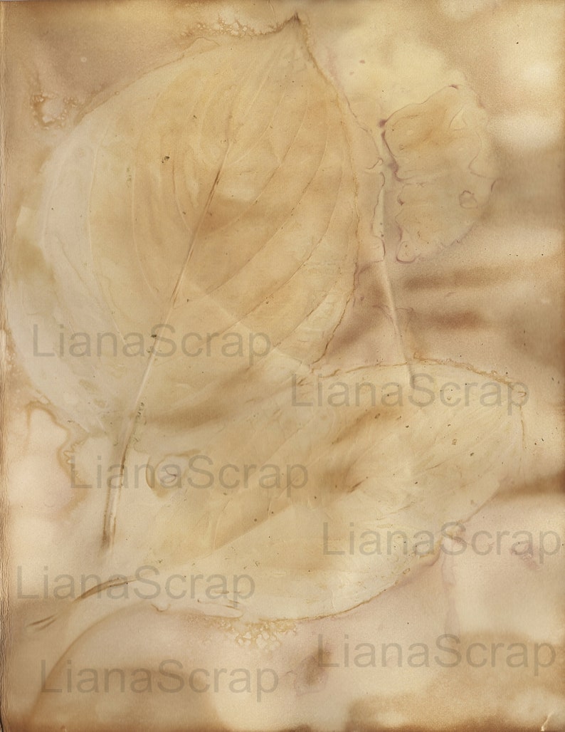 May include: A vintage-style background with a faded brown and beige color scheme. The background features a leaf imprint with a textured surface. The text "Liana Scrap" is repeated throughout the image.