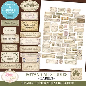 May include: Digital botanical labels with vintage designs. The labels include text such as "Botanical Observations, 1892", "Pressed Meadow Blooms", and "Wildflower Study Collection". The image also includes the text "Botanical Studies - Labels".