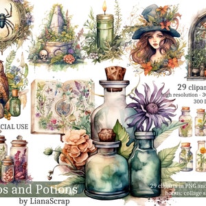 Herbs and Potions Clipart PNG Set, 29 witch clipart, witch commercial use watercolor clip art, PNG herbs and potions illustrations