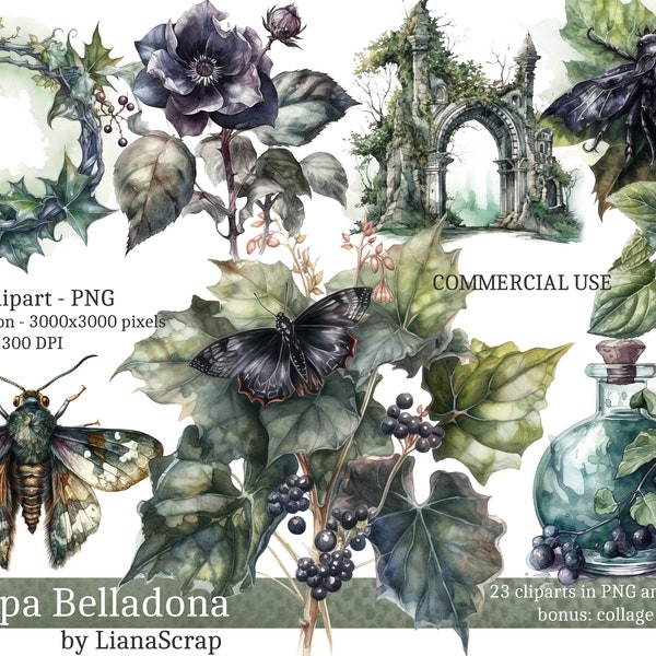 Atropa Belladona Clipart PNG Set, 23 gif clipart, heks gif commercieel gebruik aquarel illustraties, PNG atropa belladonna illustraties