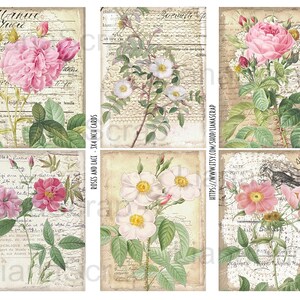 May include: Six vintage-style cards featuring illustrations of pink and white roses with green leaves on a background of old, handwritten text. The cards are 3x4 inches.