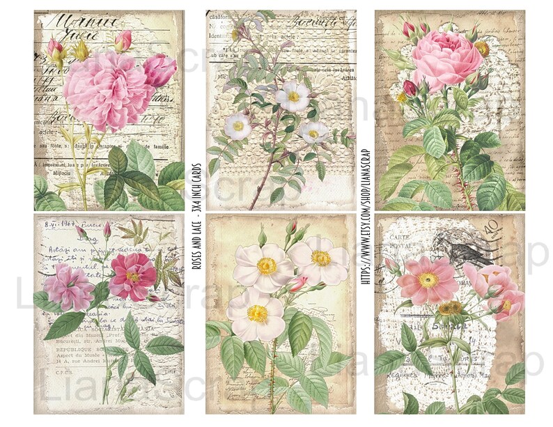 May include: Six vintage-style cards featuring illustrations of pink and white roses with green leaves on a background of old, handwritten text. The cards are 3x4 inches.