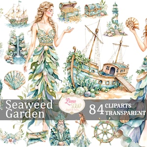 Jardin d'algues 84 Clipart aquarelle ensemble PNG Transparent créatures mythiques de l'océan sirènes planificateur numérique autocollants Illustration Design