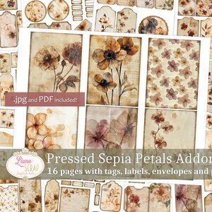 Petali di seppia pressati Addon - Kit ADDON Vintage Junk Journal, etichette, buste e tasche - Download digitale (JPG e PDF) Ephemera