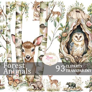 Set di 93 clipart digitali di animali della foresta - Creature della foresta ad acquerello PNG - Sfondo trasparente per artigianato e design