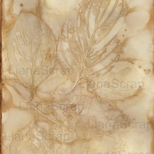 May include: A close-up of a beige textured paper with leaf imprints. The leaves are a light brown color and have a delicate, almost translucent quality. The paper has a vintage, aged look.