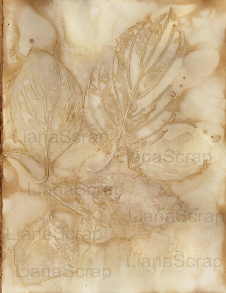 May include: A close-up of a beige textured paper with leaf imprints. The leaves are a light brown color and have a delicate, almost translucent quality. The paper has a vintage, aged look.