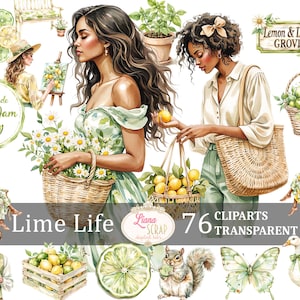 Lime Life 76 set di clipart digitali, acquerello di limone PNG, grafica estiva vintage, adesivi per planner