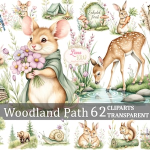 Imágenes prediseñadas de senderos forestales: animales del bosque, ilustraciones de acuarela, crías de animales, guardería, bosque encantador - 62 imágenes