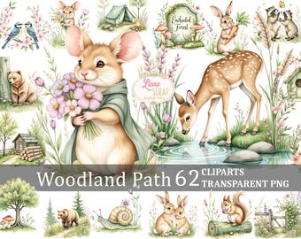 Watercolor Woodland Animals Clipart – Forest Nursery Illustrations (62 Images)
