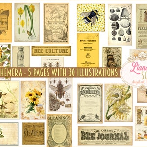 Vintage Bee Ephemera Printables, Bee Hive Honey Apiculture Digital Collage Sheets, Beekeeping Ephemera, Junk Journal Paper