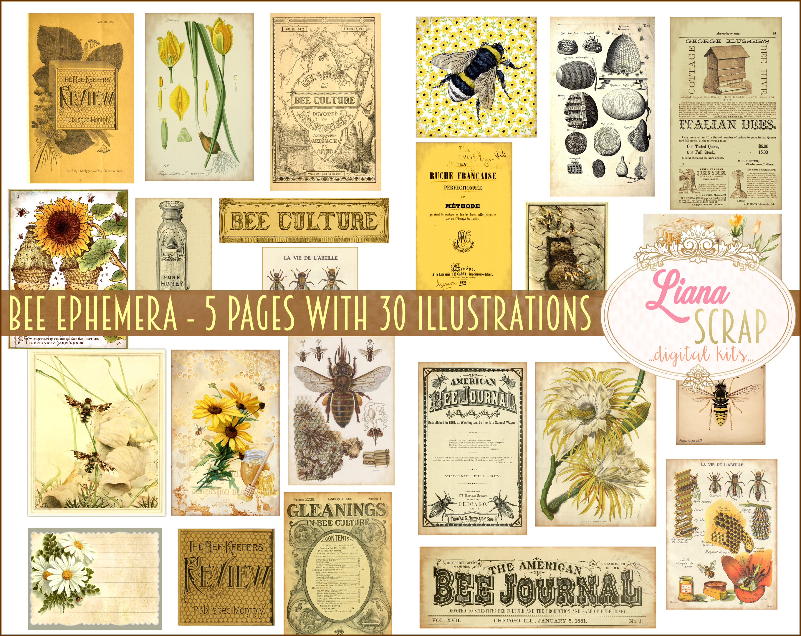 Vintage Bee Ephemera Printables, Bee Hive Honey Apiculture Digital Collage  Sheets, Beekeeping Ephemera, Junk Journal Paper 