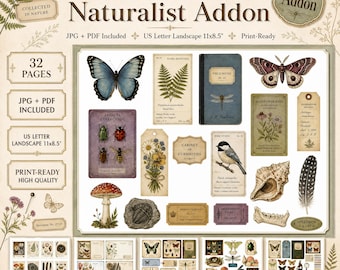 May include: A digital printable collection titled Cabinet Of A Naturalist Addon featuring 32 pages of vintage-style illustrations including butterflies, moths, a bird, a mushroom, seashells, and botanical labels on an 11x8.5 inch landscape layout.