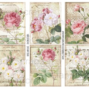 May include: Six vintage-style postcards featuring floral illustrations of pink and white roses with green leaves. The postcards have a lace background and text in French. The text on the postcards includes "Post Card", "Preface", "Son Altesse Royale", "Madame La Duchesse de Berri", "Roses and Lace - 3x4 Inch Cards", "Grece en", "Par Frederic Morel", "des Interprites du Roy".