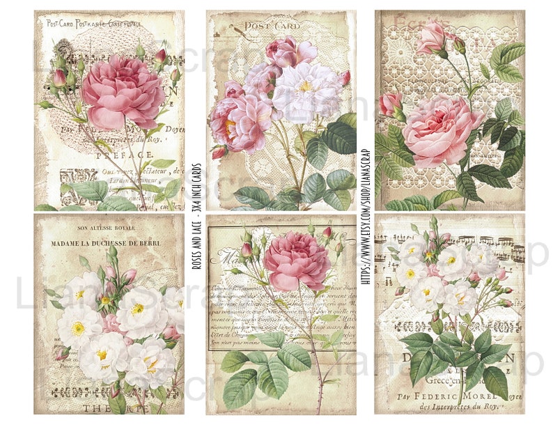 May include: Six vintage-style postcards featuring floral illustrations of pink and white roses with green leaves. The postcards have a lace background and text in French. The text on the postcards includes "Post Card", "Preface", "Son Altesse Royale", "Madame La Duchesse de Berri", "Roses and Lace - 3x4 Inch Cards", "Grece en", "Par Frederic Morel", "des Interprites du Roy".