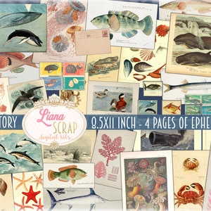 Sea Ephemera printables, Digital Ocean Printables, nautische collagevellen voor junk journals, junk journal paper