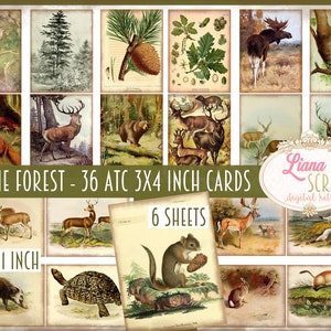 In the Forest 3x4 inch ATC Cards, 6 pages of Digital Printable Sheets, 36 Nature printable cards for junk journals, Junk Journal Paper