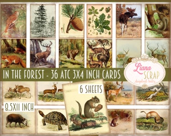 Forest Animals ATC-kaarten, vintage stijl, junkjournal (digitale afdrukbaar)