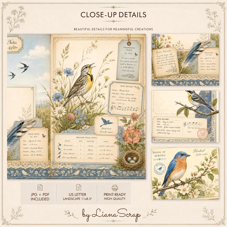 Printable Junk Journal Kit the Birdwatchers Field, 44 Pages of Vintage ...