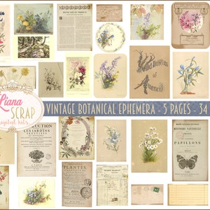 Impressions botaniques éphémères vintage, feuilles de collage numérique fleurs sauvages, éphémères floraux, papier journal indésirable