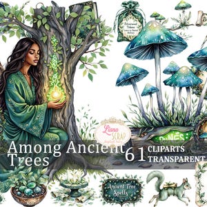 Parmi les arbres centenaires 61 Images Clipart - PNG transparents, art numérique, autocollants pour agenda, graphiques de la forêt mystique, fée magique